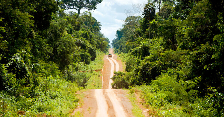 Leia mais sobre o artigo USP é a universidade que mais publica artigos científicos sobre a Amazônia