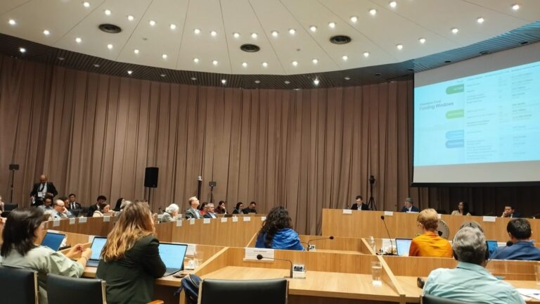 Leia mais sobre o artigo Docente da FSP-USP participa de discussões do documento preparatório para a COP30, em reunião da OPAS em Brasília